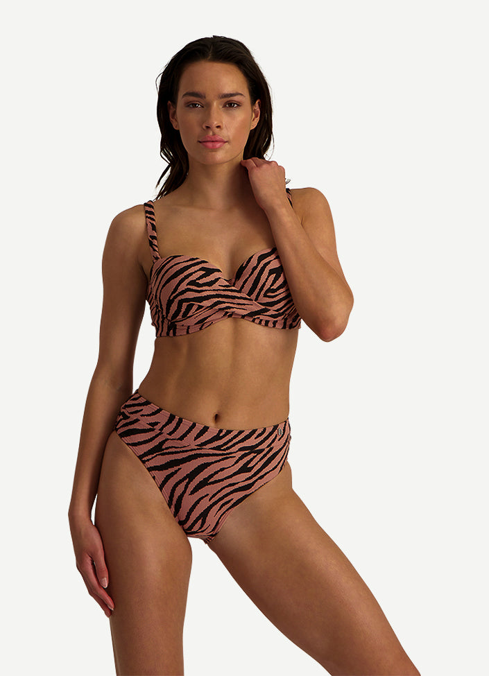 Beachlife Rose Zebra Bikini Bundle