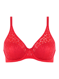 all figure: Chantelle