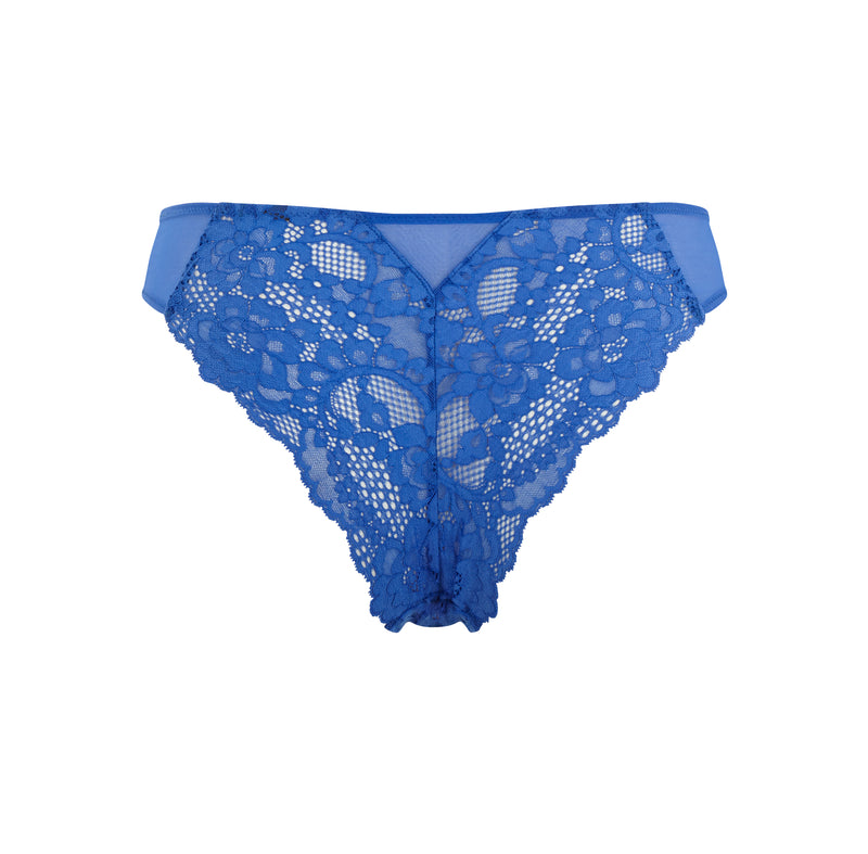 Panache Rocha Briefs Semi Sheer Mid Rise Lined Knickers Lace Brief Lingerie  Stone Blue, Stone Blue, Large : : Clothing, Shoes & Accessories