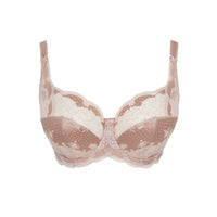 Lace bra in beige and white on a white background