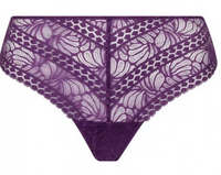 Antigel Atelier Seduction Thong