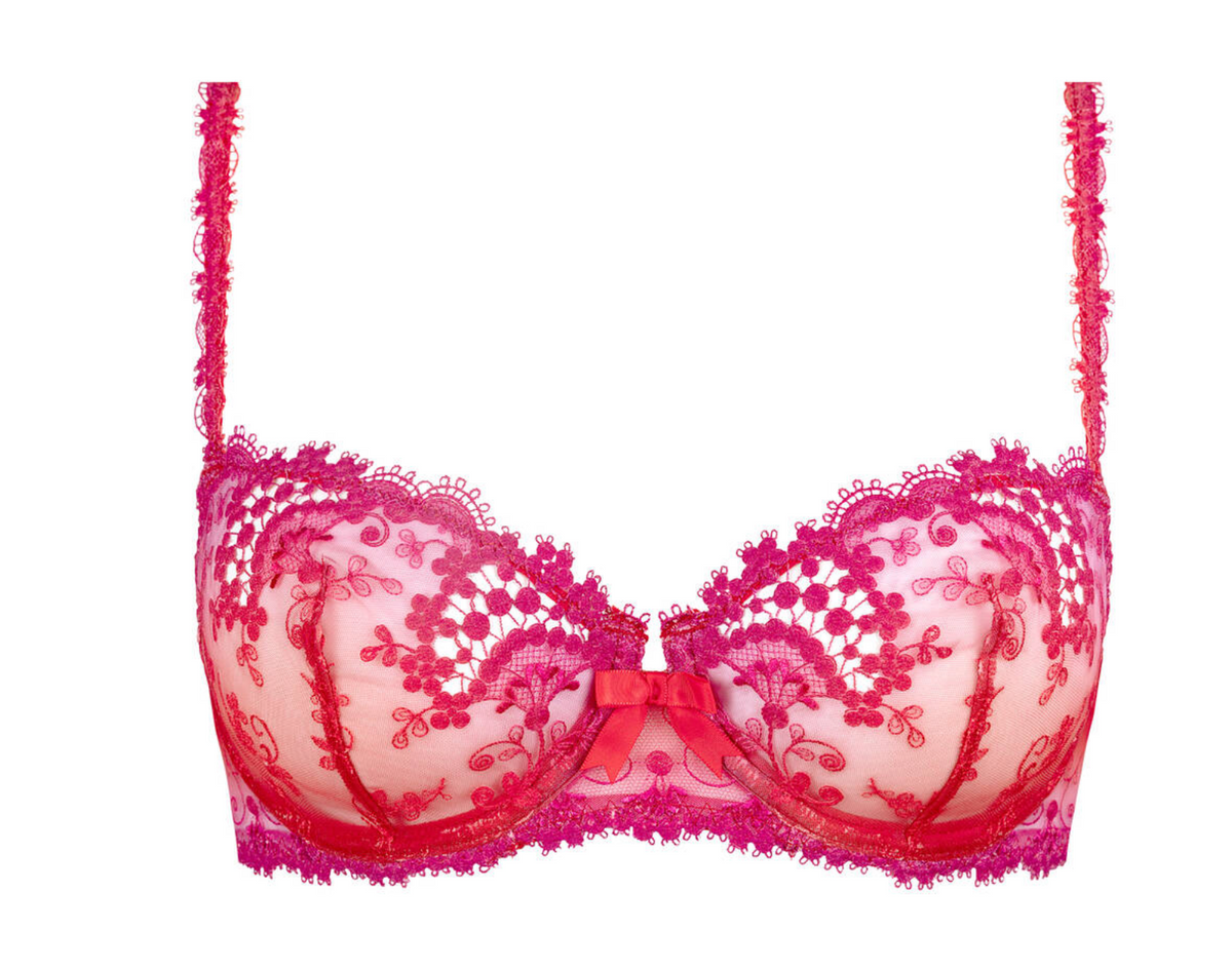 Pink and red lace bra on a white background