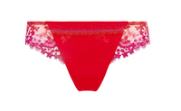 Red women's underwear with lace trim on a white background