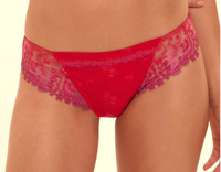 Red lace underwear on a plain background