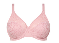 Chantelle Norah Rose