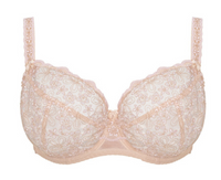Beige lace bra on a white background