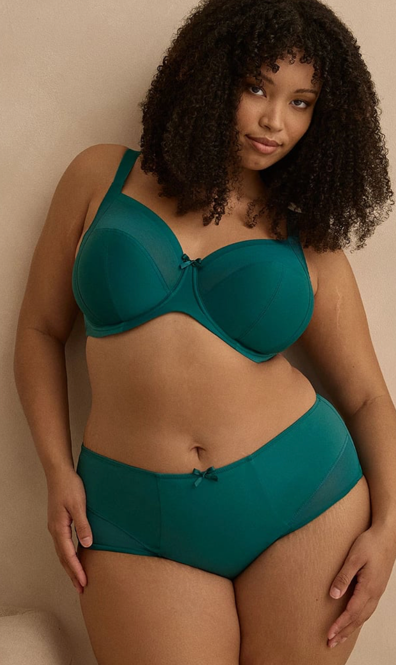 Bliss teal lace bra with underwire and non-padded cups by Sculptresse. 