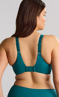 Bliss teal lace bra with underwire and non-padded cups by Sculptresse. 